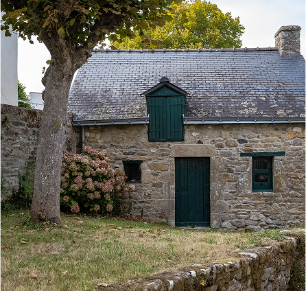 image 13